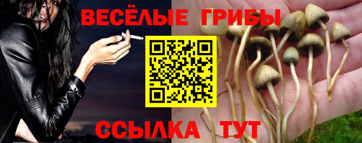 Галлюциногенные грибы мухоморы  Псилоцибиновые грибы GOLDEN TEACHER  Вход с VPN  Салават 